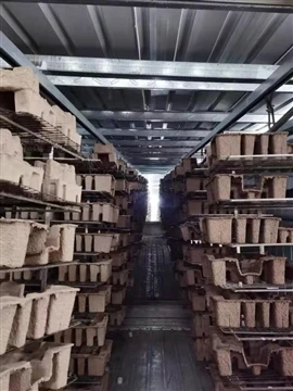 אריזת עיסת עיסת יצוקה הופכת למיינסטרים: בר קיימא ועלות-פתרון יעיל לתעשיית המס...